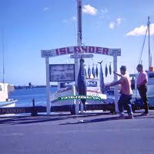 Image result for Blue 1964 Fleet