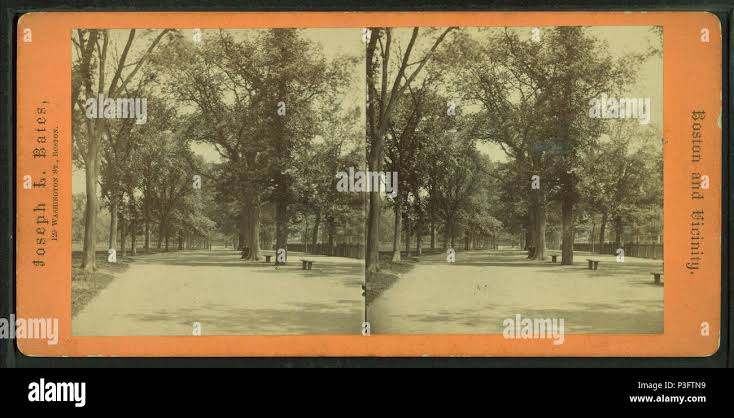 Late 19th century photograph - The Mall, Simla, Shimla, India Stock Photo - Alamy