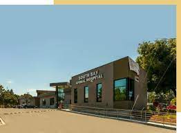 We are a referral only specialty center which means we work closely with your family veterinarian to provide you with diagnostic expertise, sophisticated imaging, specialized. South Bay Animal Hospital And Pet Resort San Jose Ca