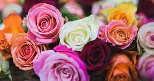 About maryellen's sweet soaps promo codes. Two Dozen Proflower Roses Just 17 97 Delivered Hip2save