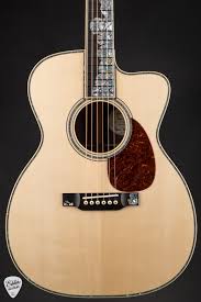 Image result for Isoglossa gregorii