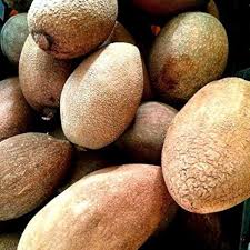 Image result for Pouteria