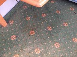 Regelmäßiges lüften im bad hilft schimmelpilzen vorzubeugen, ist als mittel gegen bereits vorhandenen schimmel aber nicht. Schimmel Und Dreck Im Bad Rote Flecken Auf Der Sitzflache Des Sessels Der Gesamte Teppich Bild Von Hotel Uckermark Prenzlau Tripadvisor