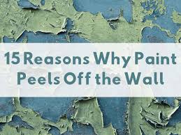 I'm guessing it's all original to. 15 Causes Of Peeling Paint On Walls And Ceilings Dengarden