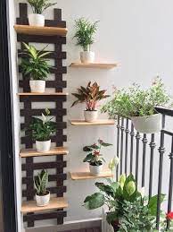 Maybe you would like to learn more about one of these? Pokok Cadangan Mini Garden Di Balkoni Rumah Anda Siapa Facebook
