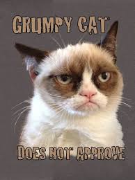 Grumpy Cat Does Not Approve Men 39 S Softstyle Charcoal Tee Funny Grumpy Cat Memes Grumpy Cat Meme Grumpy Cat