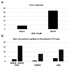 A low tumor marker does not automatically mean that there is no cancer. Growth Inhibitory Efficacy Of Natural Products In A Model For Triple Negative Molecular Subtype Of Clinical Breast Cancer Review