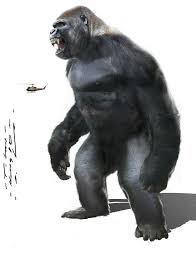 Kong Skull Island Concept King Kong Skull Island Skull Island King Kong Vs Godzilla