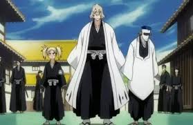 Canon typical character death in that everyone is already dead. What Are The Names Of The 13 Court Guard Squad Captains In Bleach Quora