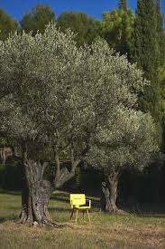 Jaune Vif Solaire Le Mobilier Outdoor Oasiq En Parfait Osmose Avec La Nature Et Soudain Le Jardin S Illumine Outdoor Outdoor Furniture Nature Inspiration
