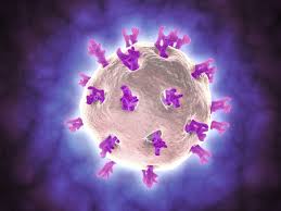 Image result for Rotavirus
