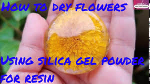 You have to use a lot so the flowers. How To Dry Flowers Using Silica Gel Powder For Resin Youtube