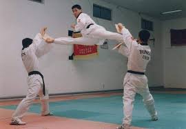 20100803171517640 Jpg 578 400 Pixels Martial Arts Workout Taekwondo Martial Arts