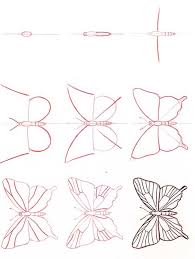Butterfly Lifeandhealth Life And Health Butterfly Drawing Drawing Tutorial Butterfly Art