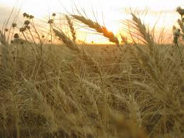 Посты пользователя kellandro - JoyReactor