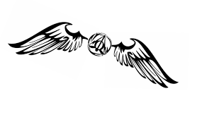 Ultimate Guide To Salt Water Pump And Filter Harry Potter Tattoos Snitch Tattoo Harry Potter Tattoos Unique