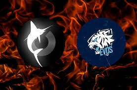 Unduh dan gunakan 30.000+ foto stok wallpaper hd secara gratis. Mpl Antara Harimau Dan Ikan Haiwan Mana Akan Dimanjakan Hari Ini Portal Esports Wtm Today