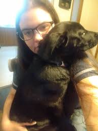 Walmart is partnering with insurance provider Petplan to offer injury and  illness coverage for dogs and cats. Customers can save up to 10%