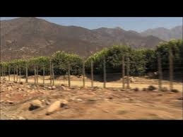 Their potential health benefits include improving digestion, decreasing risk of depression, and protection against cancer. Petorca The Epicenter Of Chile S Conflict Over Water Youtube