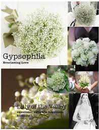 We did not find results for: Flowers And Their Meanings Gypsophila Everlasting Love Lilly Of The Valley Sweetness Return To Happiness Flower Meanings Gypsophila Love Flowers