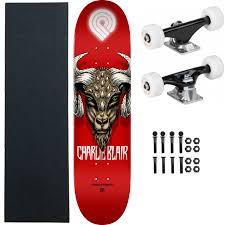 Best skateboard brands on amazon. The Best Skateboards For Beginners 2020 The Strategist