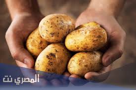 Maybe you would like to learn more about one of these? ØªÙØ³ÙŠØ± Ø­Ù„Ù… Ø±Ø¤ÙŠØ© Ø§Ù„Ø¨Ø·Ø§Ø·Ø³ ÙÙŠ Ø§Ù„Ù…Ù†Ø§Ù… Ø¨Ø§Ù„ØªÙØµÙŠÙ„ Ø§Ù„Ù…ØµØ±ÙŠ Ù†Øª