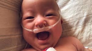 2022 Calendar Contest