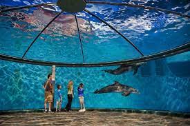 Top 5 Family Friendly Things To Do In Indianapolis Indianapolis Zoo Indiana Travel Vacation Trips