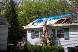 It's worse when you invite a friend over and the first thing they comment about is the smell. Home Improvement Project The Garden Shed Kevin Lee Jacobs