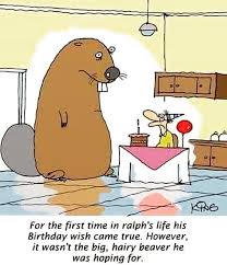 And So Went The Story Of Ralph S Life In General Big Hair Hairy Beaver Whoops Wi Happy Birthday Quotes Funny Birthday Wishes Funny Birthday Quotes Funny