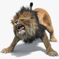 Lion Rigged Fur 3d Model In 2020 Big Cats Drawing Lion 3d Model