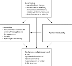 Depression In The Elderly The Lancet