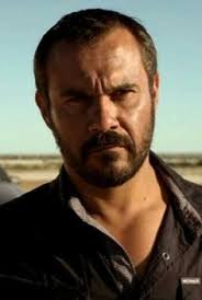 11 Aaron Pedersen ideas to save today