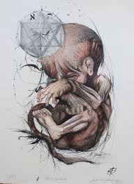 Jonathan Edward Guthmann Anatomy Sketches Bone Drawing Anatomy Art