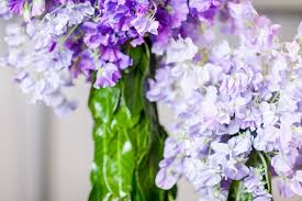 Maybe you would like to learn more about one of these? Day One 3 Designs By Mary Jane Vaughan British Flowers Week