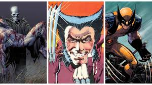 Image result for wolverine
