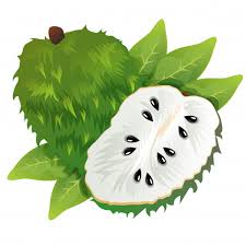  Health  benefits of Soursop &with image 