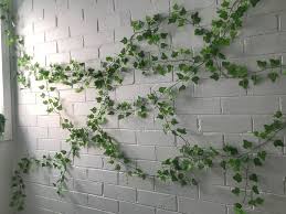 Indoor Ivy Wall Growing On Bricks Greenwall Ivy Wall Indoor Ivy Outdoor Pergola