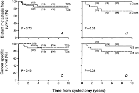 Tumor Size Predicts The Survival Of Patients With Pathologic