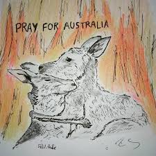 Pray For Australia Draw Drawing Drawings Dibujante Dibujantes Dibujo Dibujos Lavidaendibujo Historie Animal Sketches Animal Drawings Animals United