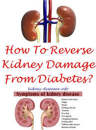 Renal Diet Recommendations Diabetes And Renal Failure What Causes Kidney Failure 34344 Kidney Disease Symptoms Kidney Failure Symptoms Kidney Disease Recipes