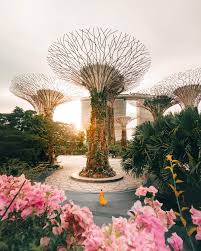 Singapore 2 Day Guide Singapore Travel Singapore Travel Tips Singapore Garden