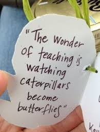 Trainer Quotes Butterfly Google Search Butterfly Google Quotes Search Preschool Teacher Quotes Kindergarten Teacher Quotes Teacher Quotes Inspirational