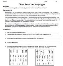You will evaluate 3 patients' case histories, complete their karyotypes, and. Genetics Reading Karyotypes Practice Genetics Xyy Syndrome Turner Syndrome