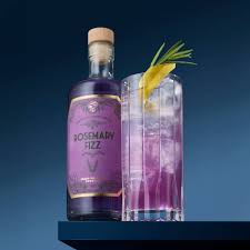 The Illusionist Rosemary Fizz RTD | Trinkfertiger Gin – The Illusionist  Distillery