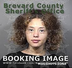 Lynnette Meyer's Instagram, Twitter & Facebook