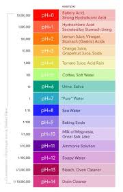 Ph Pure Water Products Llc Beauty School Cosmetology Cosmetology Student Cosmetology School