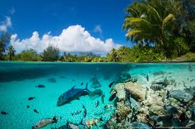 I've figured it out and now you can do it too. Gopro Dome Passport Ocean
