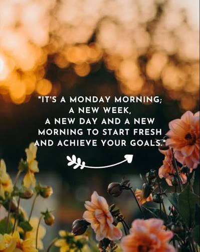Happy Motivational Monday! #motivationalmonday #motivation #motivational  #motivationalcoach #motivationalcoaching #newweek #newweeknewgoals  #happymonday #monday #positivethinking #positivity #positivevibes