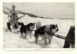 1930s Antique Sled Dog Team Dog Print Vintage Dog Sledding Photo Print 3297 Aa Dog Sledding Vintage Dog Dog Artwork